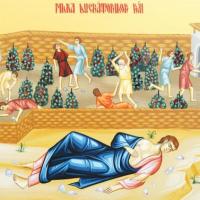 五旬節後第13主日：瑪竇福音21章33至42節